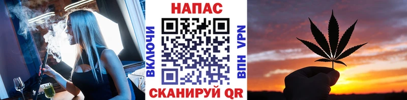 Бошки Шишки Жуковка