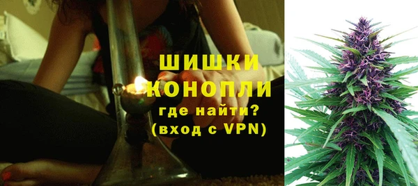 молекула духа Волосово