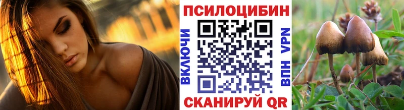 Псилоцибиновые грибы ЛСД  наркотики  Жуковка 