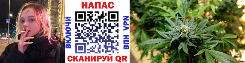 где найти наркотики  OMG ТОР  МАРИХУАНА тримм  Жуковка 